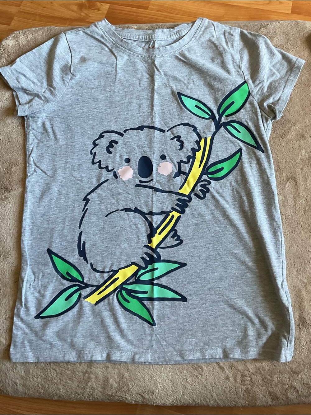 Cat & Jack Gray Koala Graphic Tee with Green Leaves